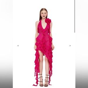 Fanci club fuchsia dress